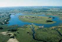 Okavango Delta Aerial View