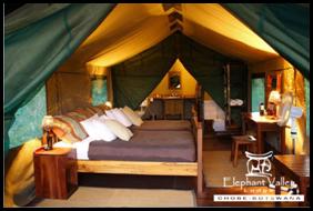 Tented Camp Interior
