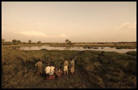 Enjoying The Okavango Delta