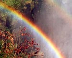 Waterfalls Rainbow